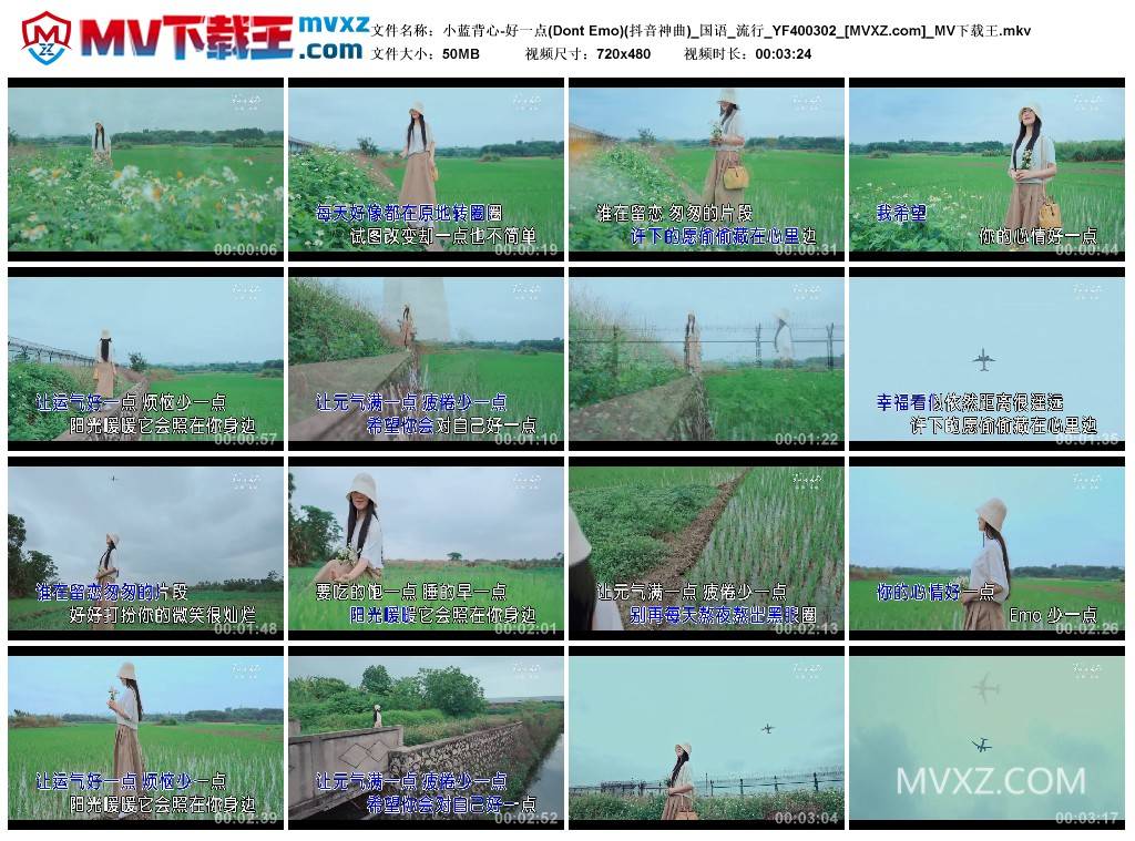 小蓝背心-好一点(Dont Emo)(抖音神曲)_国语_流行_YF400302